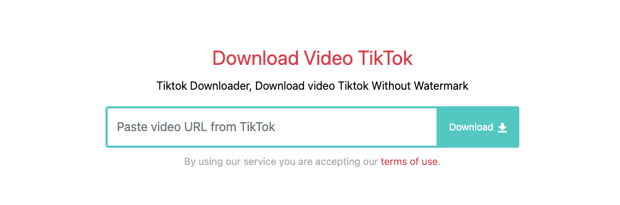 Downtik's TikTok Video Downloader Homepage