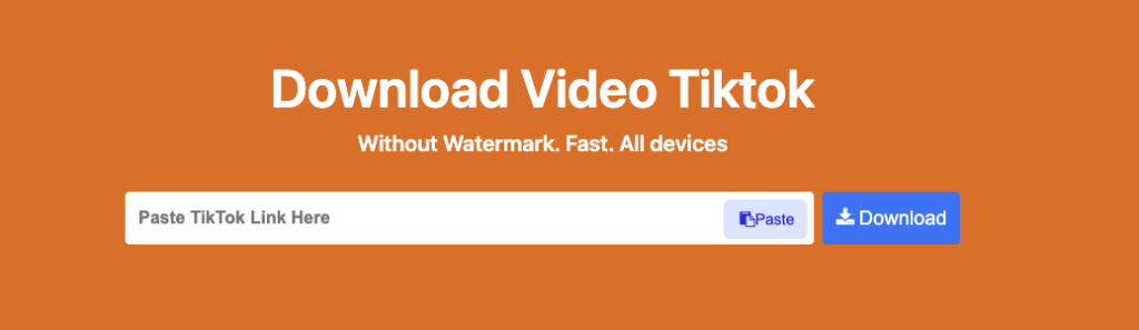 TikTokio's TikTok Video Downloader Homepage