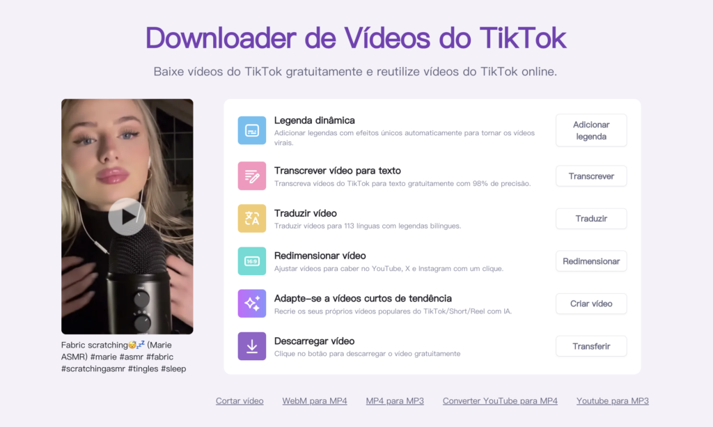 Cole o link para fazer o baixar vídeo do TikTok