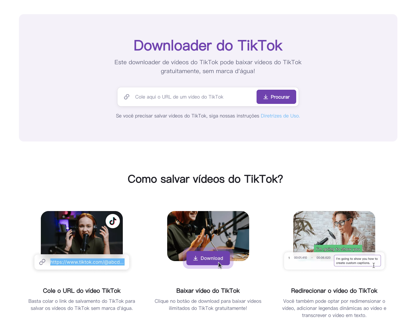 Página inicial da ferramenta de baixar vídeos do TikTok da Zeemo
